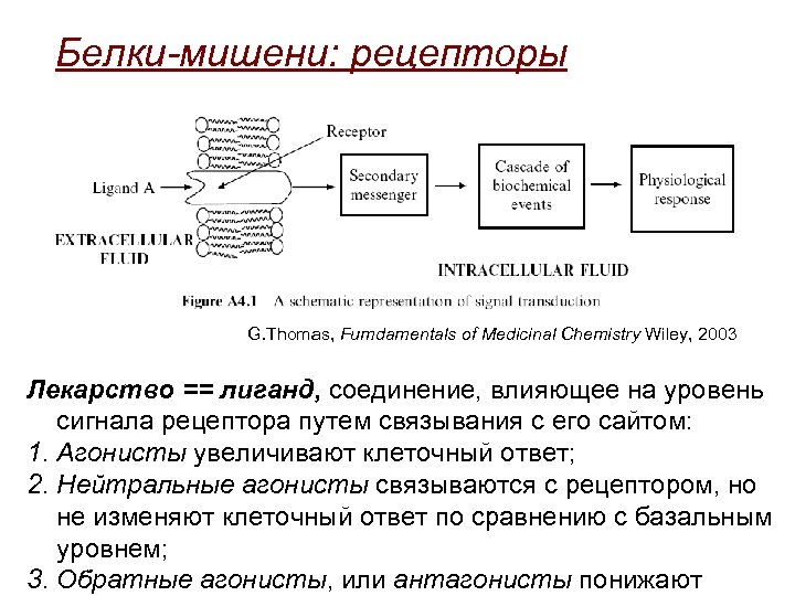Белки-мишени: рецепторы G. Thomas, Fumdamentals of Medicinal Chemistry Wiley, 2003 Лекарство == лиганд, соединение,