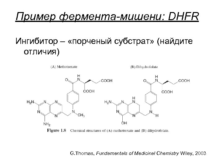 Пример фермента-мишени: DHFR Ингибитор – «порченый субстрат» (найдите отличия) G. Thomas, Fundamentals of Medicinal