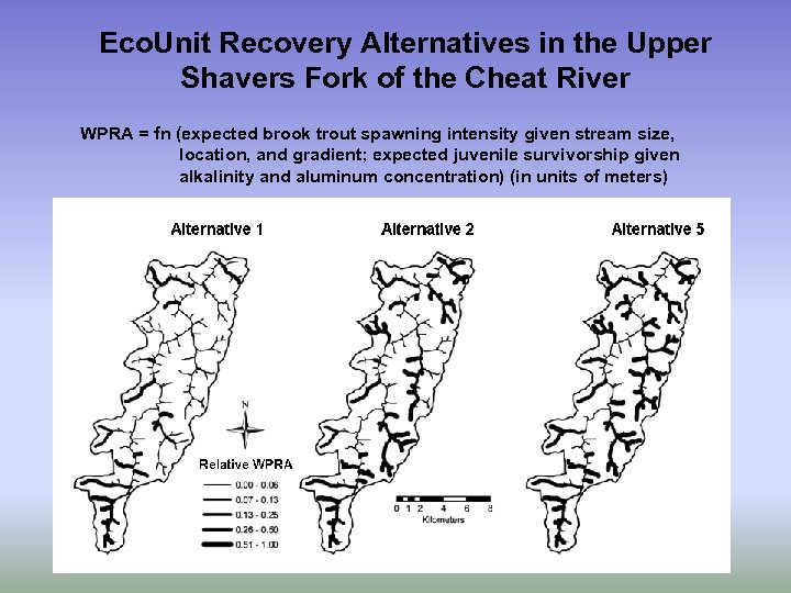 Eco. Unit Recovery Alternatives in the Upper Shavers Fork of the Cheat River WPRA