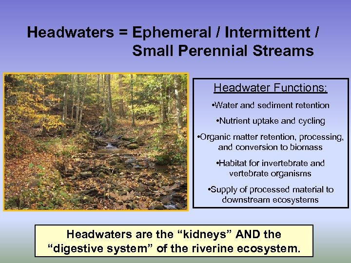 Headwaters = Ephemeral / Intermittent / Small Perennial Streams Headwater Functions: • Water and