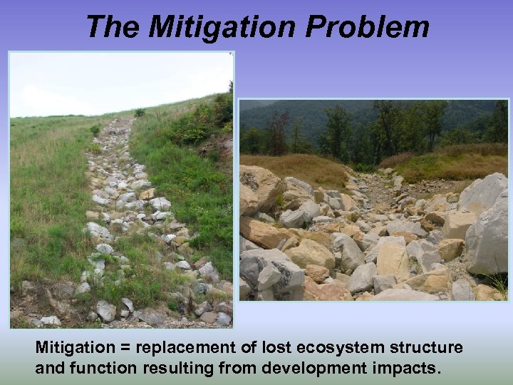 The Mitigation Problem Mitigation = replacement of lost ecosystem structure and function resulting from