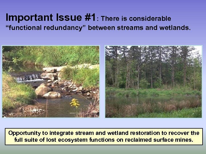 Important Issue #1: There is considerable “functional redundancy” between streams and wetlands. Opportunity to