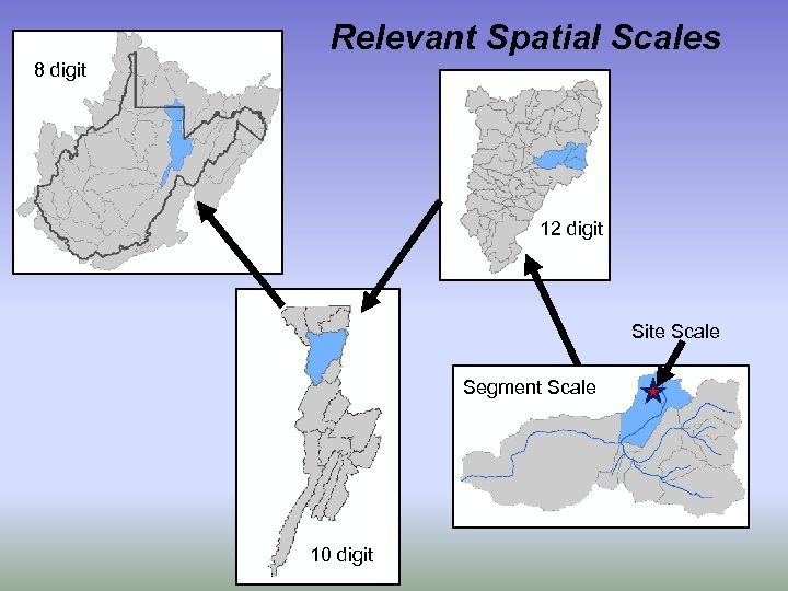 Relevant Spatial Scales 8 digit 12 digit Site Scale Segment Scale 10 digit 