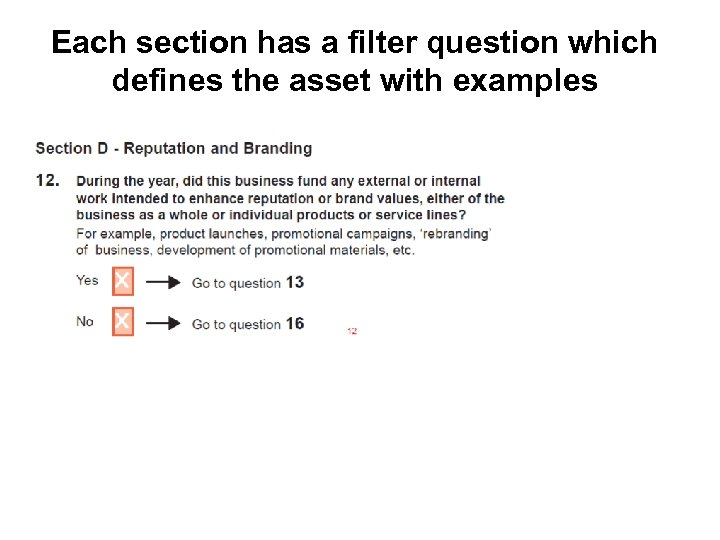 Each section has a filter question which defines the asset with examples 