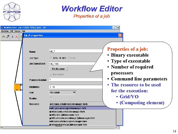Workflow Editor Properties of a job: • Binary executable • Type of executable •
