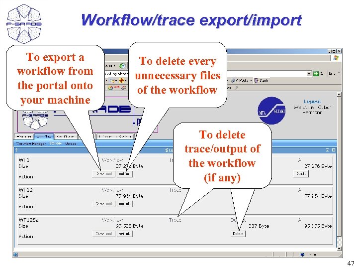 Workflow/trace export/import To export a workflow from the portal onto your machine To delete