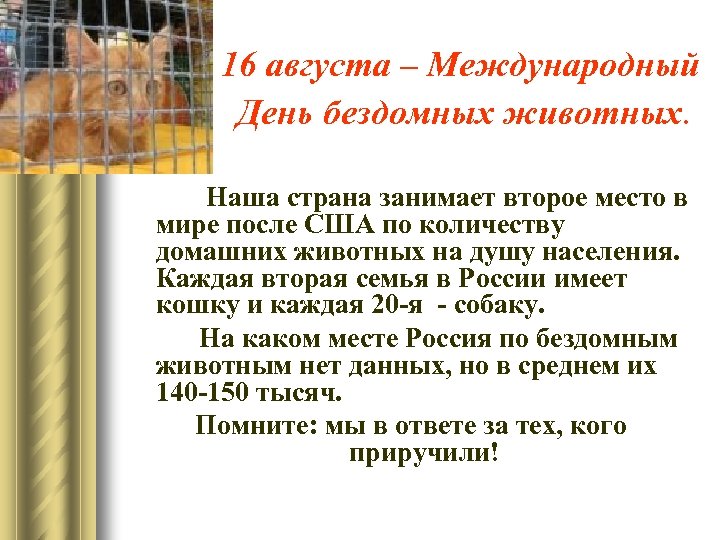 16 августа – Международный День бездомных животных. Наша страна занимает второе место в мире