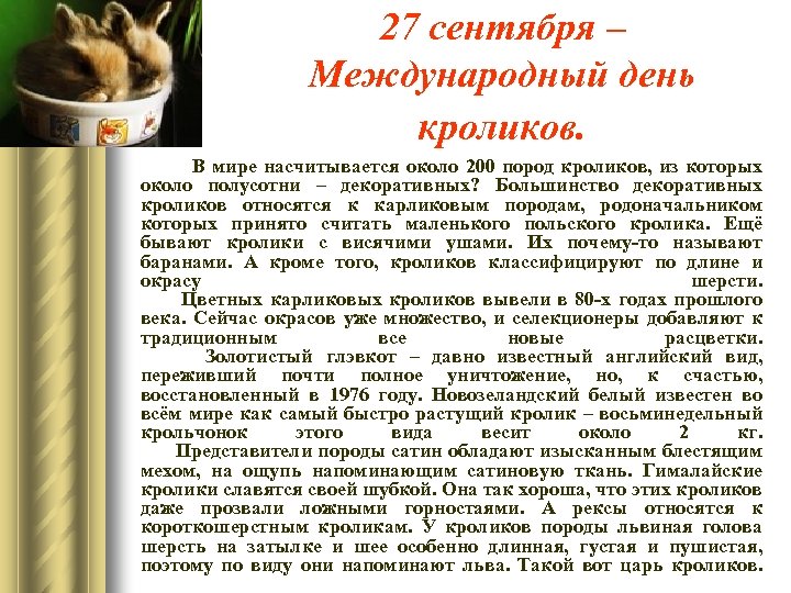 27 сентября – Международный день кроликов. В мире насчитывается около 200 пород кроликов, из