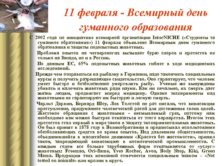 11 февраля - Всемирный день гуманного образования С 2002 года по инициативе всемирной организации