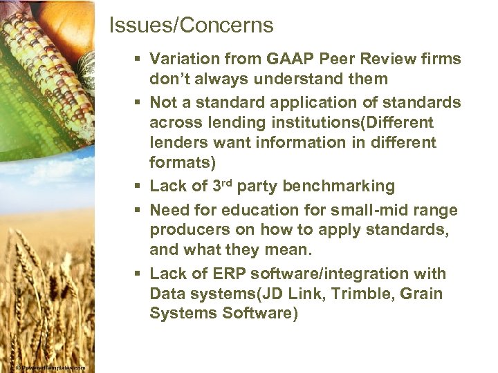 Issues/Concerns § Variation from GAAP Peer Review firms don’t always understand them § Not