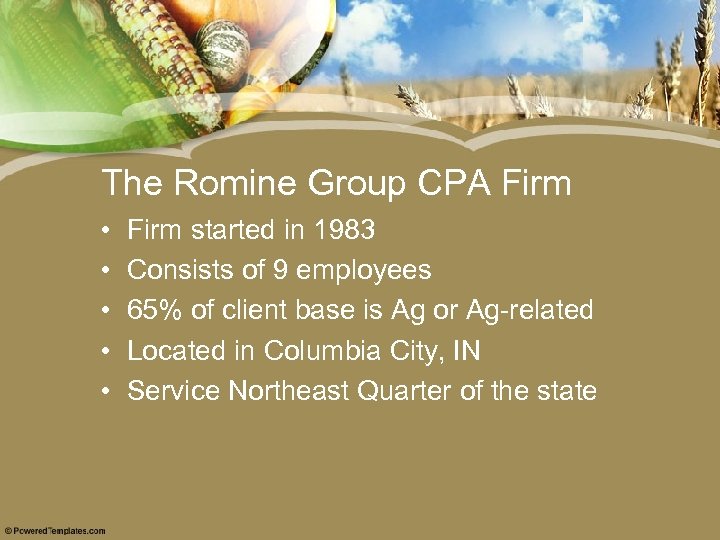 The Romine Group CPA Firm • • • Firm started in 1983 Consists of