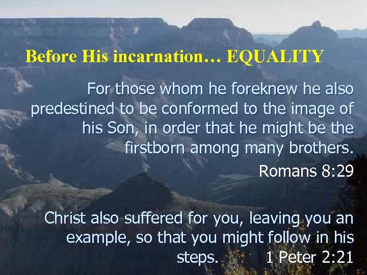 Before His incarnation… EQUALITY For those whom he foreknew he also predestined to be
