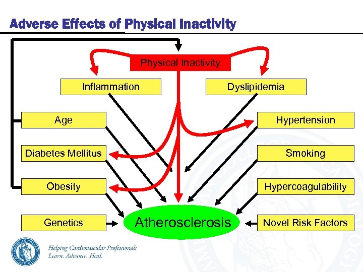 Adverse Effects of Physical Inactivity Inflammation Dyslipidemia Age Hypertension Diabetes Mellitus Smoking Obesity Hypercoagulability