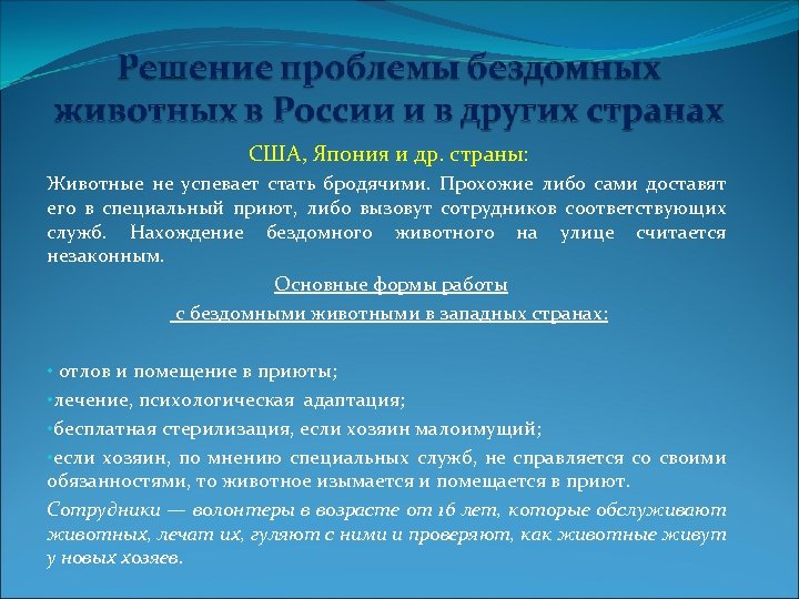 США, Япония и др. страны: Животные не успевает стать бродячими. Прохожие либо сами доставят