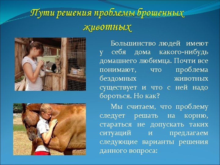 Большинство людей имеют у себя дома какого-нибудь домашнего любимца. Почти все понимают, что проблема