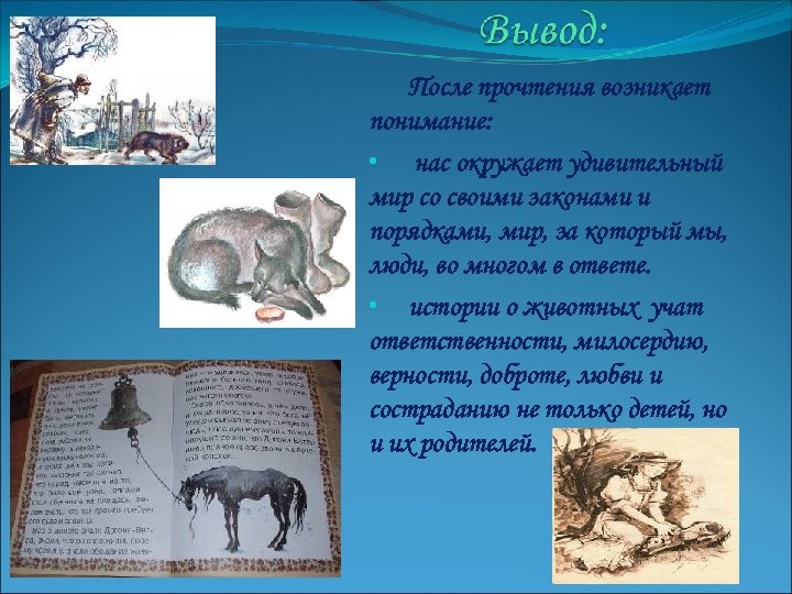 После прочтения возникает понимание: • нас окружает удивительный мир со своими законами и порядками,