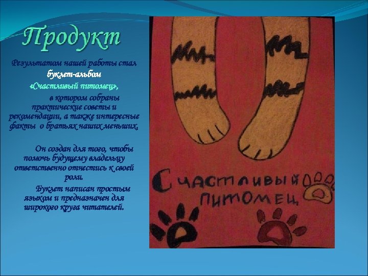 Результатом нашей работы стал буклет-альбом «Счастливый питомец» , в котором собраны практические советы и