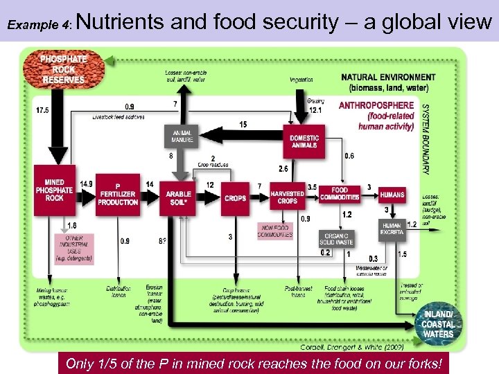Example 4: Nutrients and food security – a global view Only 1/5 of the