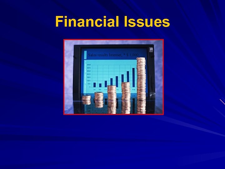 Financial Issues 