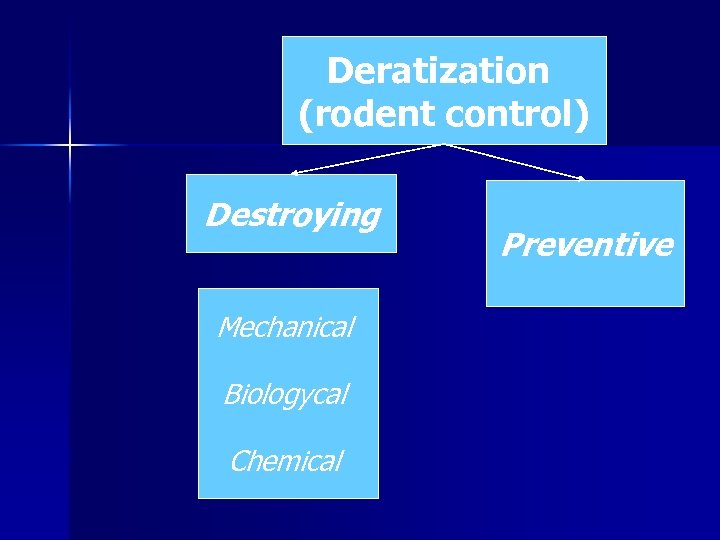 Deratization (rodent control) Destroying Mechanical Biologycal Chemical Preventive 