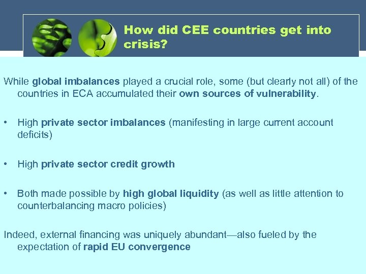 How did CEE countries get into crisis? While global imbalances played a crucial role,