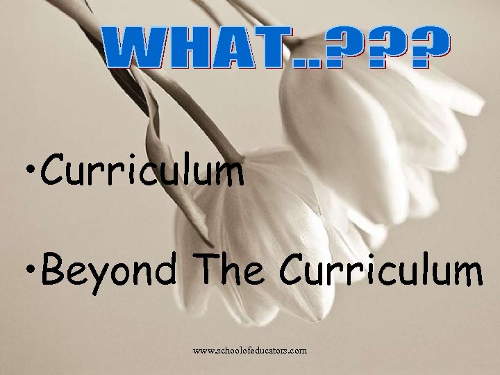  • Curriculum • Beyond The Curriculum www. schoolofeducators. com 