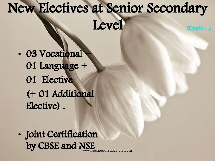 New Electives at Senior Secondary Level (Contd…) • 03 Vocational + 01 Language +