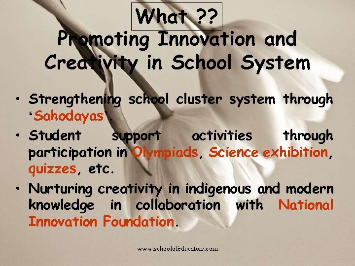 What ? ? Promoting Innovation and Creativity in School System • Strengthening school cluster