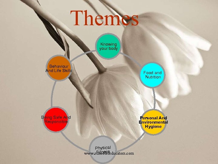 Themes Knowing your body Behaviour And Life Skills Food and Nutrition Being Safe And