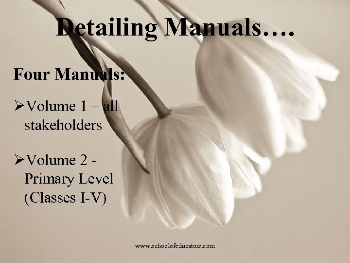 Detailing Manuals…. Four Manuals: ØVolume 1 – all stakeholders ØVolume 2 Primary Level (Classes