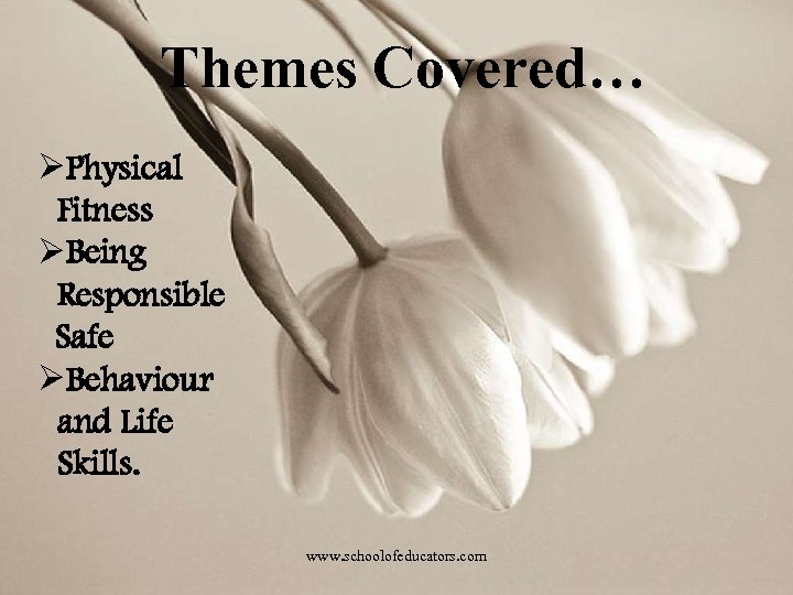 Themes Covered… ØPhysical Fitness ØBeing Responsible Safe ØBehaviour and Life Skills. www. schoolofeducators. com