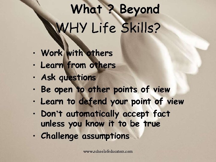 What ? Beyond WHY Life Skills? • Work with others • Learn from others