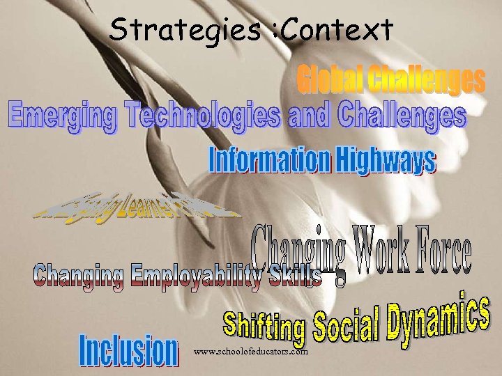 Strategies : Context www. schoolofeducators. com 