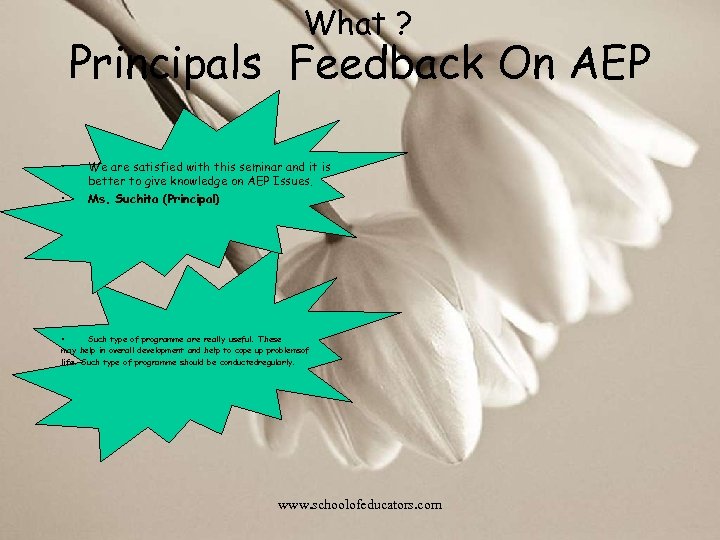 What ? Principals Feedback On AEP • • We are satisfied with this seminar
