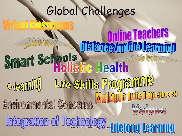 Global Challenges www. schoolofeducators. com 
