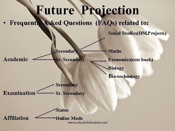 Future Projection • Frequently Asked Questions (FAQs) related to: Social Studies(DM, Projects) Secondary Academic