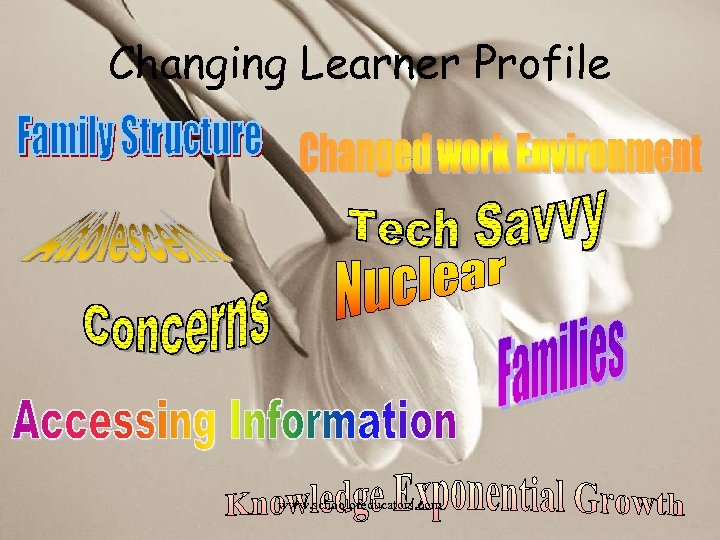 Changing Learner Profile www. schoolofeducators. com 
