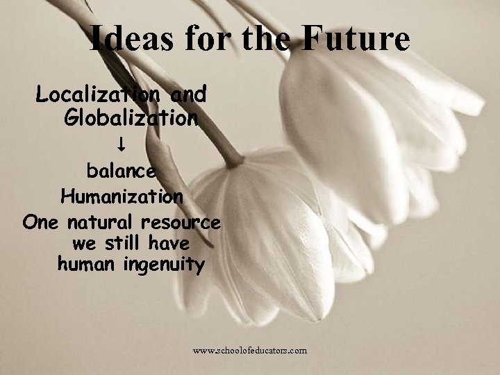 Ideas for the Future Localization and Globalization balance Humanization One natural resource we still
