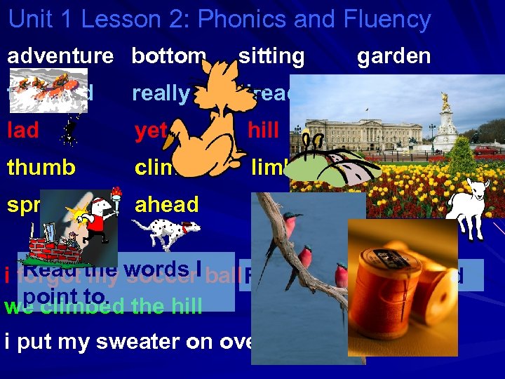 Unit 1 Lesson 2: Phonics and Fluency adventure bottom sitting garden tumbled really already