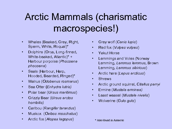 Arctic Mammals (charismatic macrospecies!) • • • Whales (Beaked, Grey, Right, Sperm, White, Roqual)*
