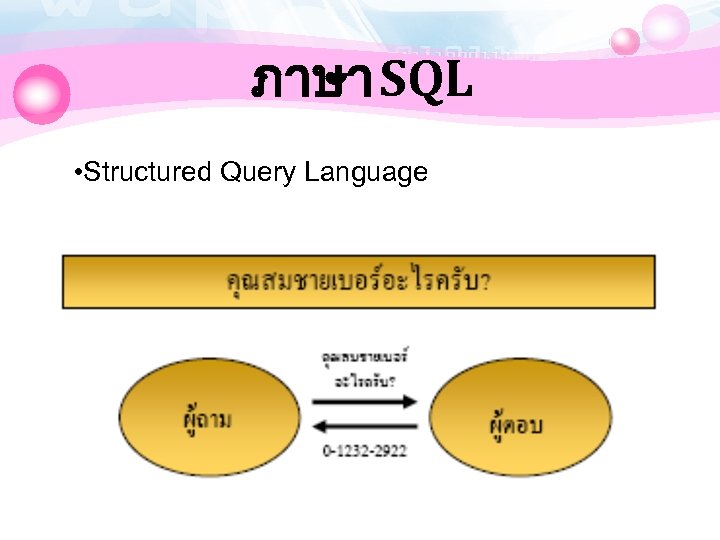 ภาษา SQL • Structured Query Language 