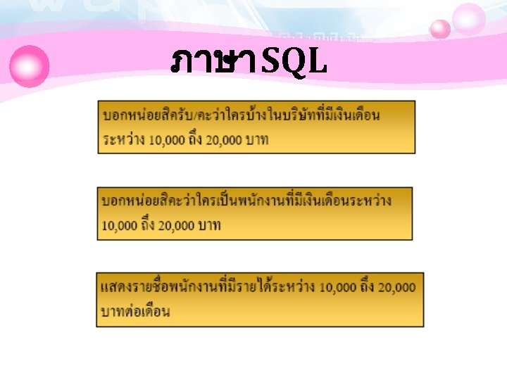 ภาษา SQL 