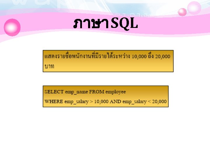 ภาษา SQL 