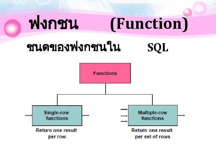 ฟงกชน (Function) ชนดของฟงกชนใน SQL 
