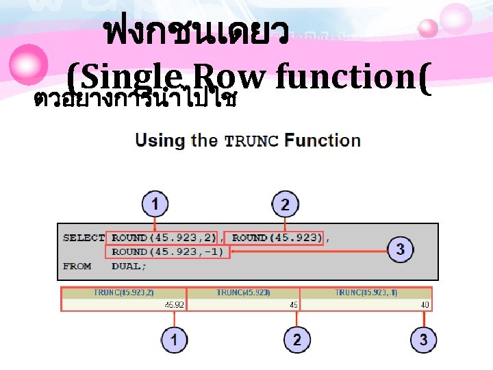 ฟงกชนเดยว (Single Row function( ตวอยางการนำไปใช 