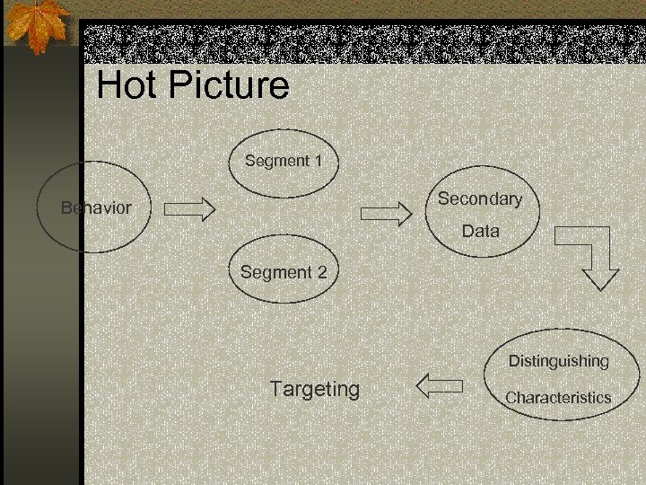 Hot Picture Segment 1 Secondary Behavior Data Segment 2 Distinguishing Targeting Characteristics 