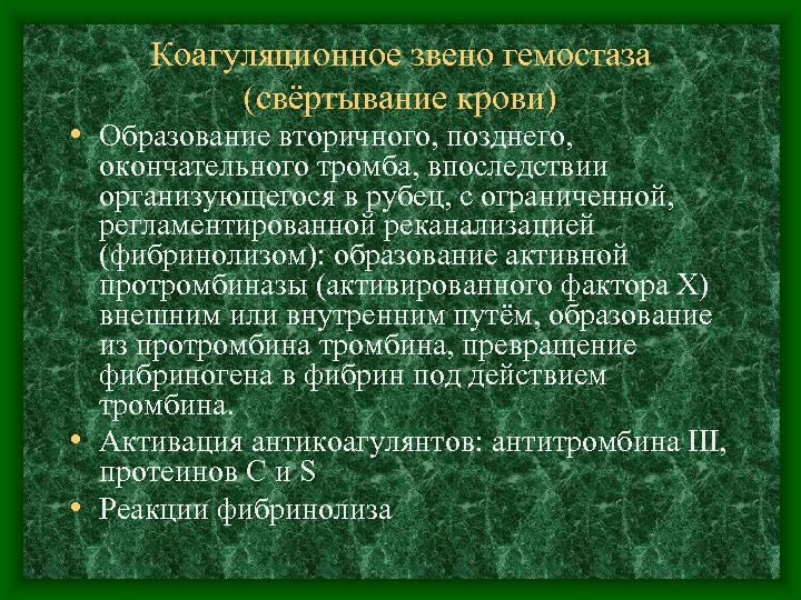 Коагуляционное звено гемостаза (свёртывание крови) • Образование вторичного, позднего, окончательного тромба, впоследствии организующегося в