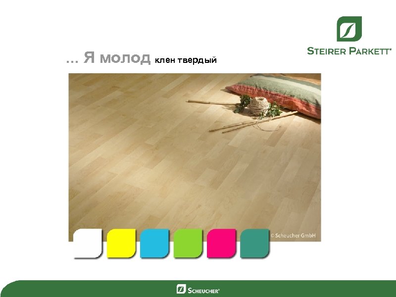 . . . Я молод клен твердый 