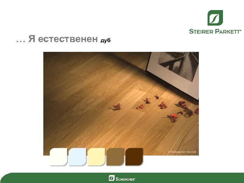 … Я естественен дуб 