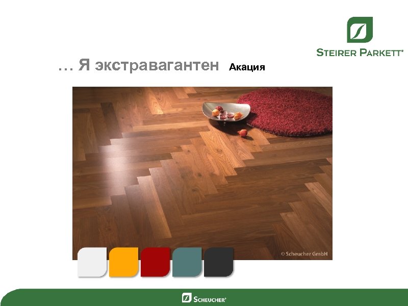 … Я экстравагантен Акация 